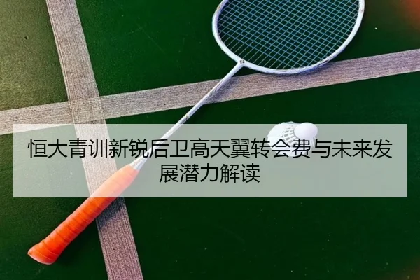 恒大青训新锐后卫高天翼转会费与未来发展潜力解读
